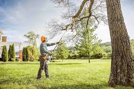  Anna, TX Tree Removal Pros