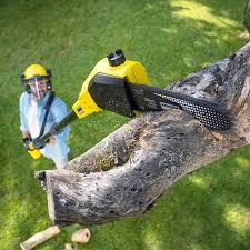 Mulching Services in Anna, TX